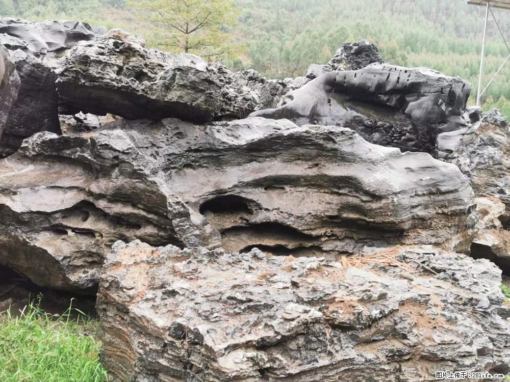 风景石、假山石大量有货，有需要的欢迎联系 - 新手上路 - 克拉玛依生活社区 - 克拉玛依28生活网 klmy.28life.net