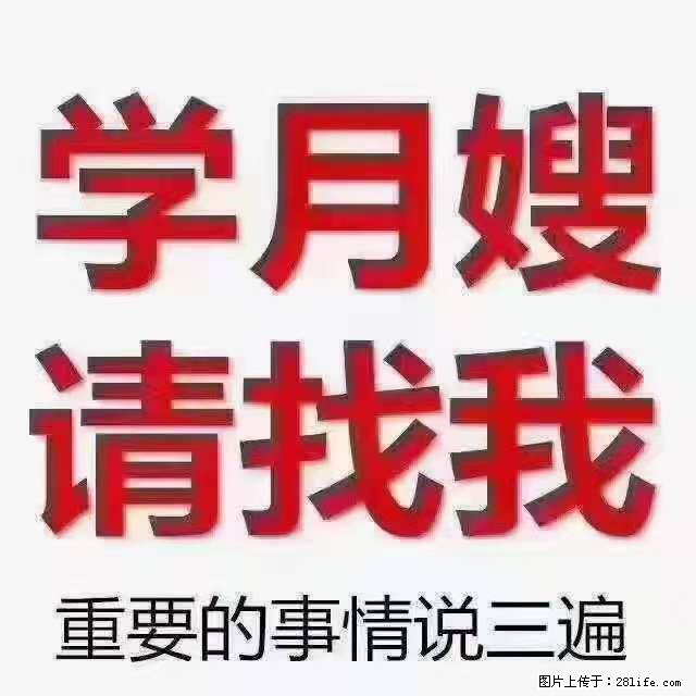为什么要学习月嫂，育婴师？ - 其他广告 - 广告专区 - 克拉玛依分类信息 - 克拉玛依28生活网 klmy.28life.net