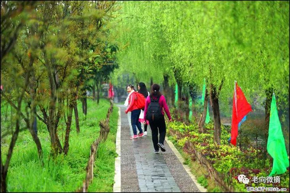 【春天，广西桂林灌阳县向您发出邀请！】江口老街又逢春 - 游山玩水 - 克拉玛依生活社区 - 克拉玛依28生活网 klmy.28life.net