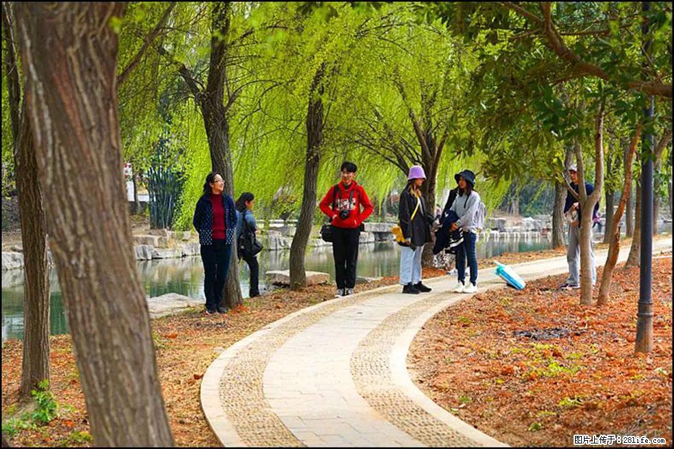 【春天，广西桂林灌阳县向您发出邀请！】江口老街又逢春 - 游山玩水 - 克拉玛依生活社区 - 克拉玛依28生活网 klmy.28life.net