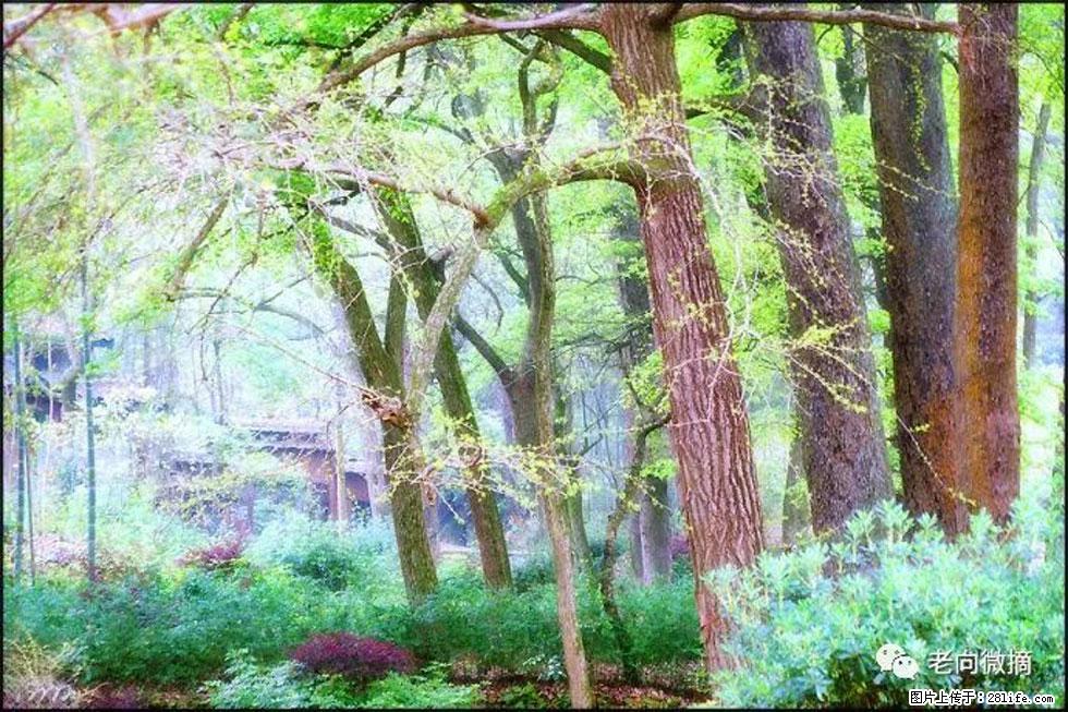 【春天，广西桂林灌阳县向您发出邀请！】在小龙村与春天约会 - 游山玩水 - 克拉玛依生活社区 - 克拉玛依28生活网 klmy.28life.net