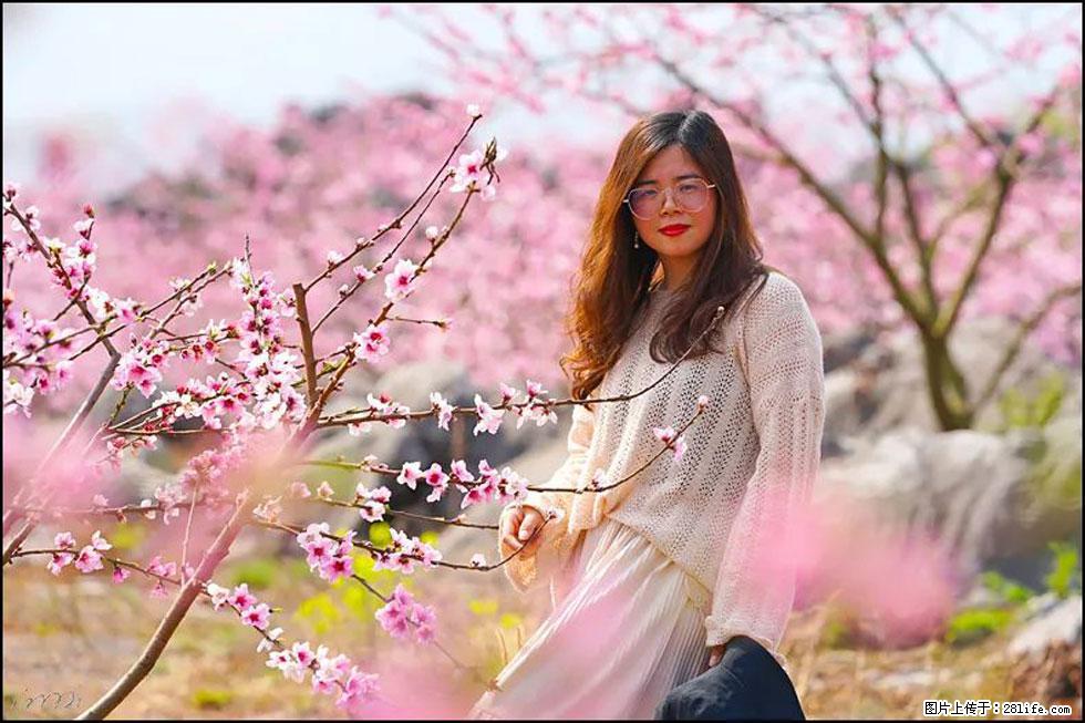 【春天，广西桂林灌阳县向您发出邀请！】望月岭上桃花开 - 游山玩水 - 克拉玛依生活社区 - 克拉玛依28生活网 klmy.28life.net