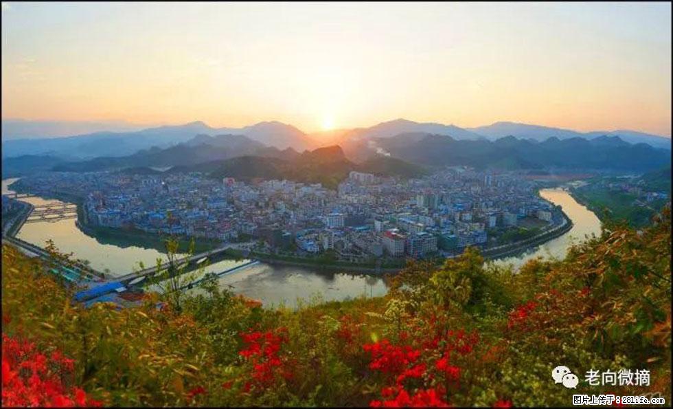 【春天，广西桂林灌阳县向您发出邀请！】登麒麟山，相约映山红 - 游山玩水 - 克拉玛依生活社区 - 克拉玛依28生活网 klmy.28life.net