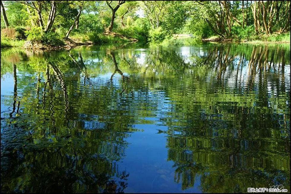 【春天，广西桂林灌阳县向您发出邀请！】熊家寨湿地公园 - 游山玩水 - 克拉玛依生活社区 - 克拉玛依28生活网 klmy.28life.net