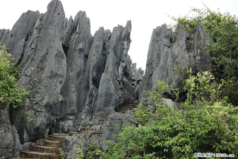 桂林旅游名城景点：灌阳文市石林 - 游山玩水 - 克拉玛依生活社区 - 克拉玛依28生活网 klmy.28life.net