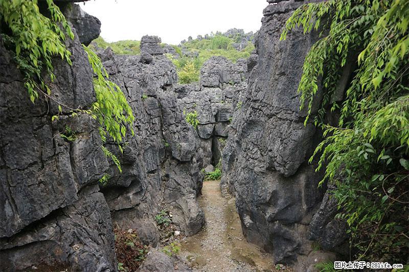 桂林旅游名城景点：灌阳文市石林 - 游山玩水 - 克拉玛依生活社区 - 克拉玛依28生活网 klmy.28life.net