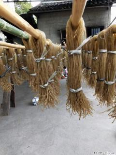【灌阳正宗红薯粉】美女家里自己做的，干净卫生，假一赔十，价格合理，抢购电话：13737312895 - 克拉玛依28生活网 klmy.28life.net