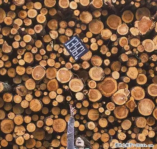 辞掉工作周游世界?现在他们在洗厕所…… - 游山玩水 - 克拉玛依生活社区 - 克拉玛依28生活网 klmy.28life.net