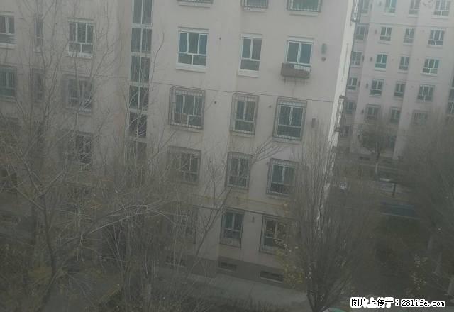 南湖一期清秀园三室两厅包暖气物业 - 房屋出租 - 房屋租售 - 克拉玛依分类信息 - 克拉玛依28生活网 klmy.28life.net
