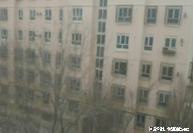 天池北婚房 出租两室两厅包暖气物业 - 房屋出租 - 房屋租售 - 克拉玛依分类信息 - 克拉玛依28生活网 klmy.28life.net