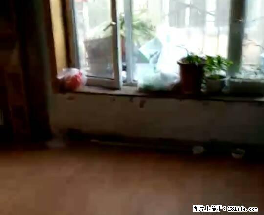永红一楼两室一厅带院子拎包入住 - 房屋出租 - 房屋租售 - 克拉玛依分类信息 - 克拉玛依28生活网 klmy.28life.net