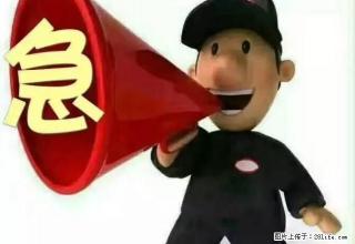 教育小区 3楼 2200元/月 随时看房 也可出售 - 克拉玛依28生活网 klmy.28life.net