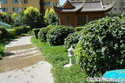 康城平安苑 13楼 3室2厅 毛坯 中间户型 500元/月 - 房屋出租 - 房屋租售 - 克拉玛依分类信息 - 克拉玛依28生活网 klmy.28life.net
