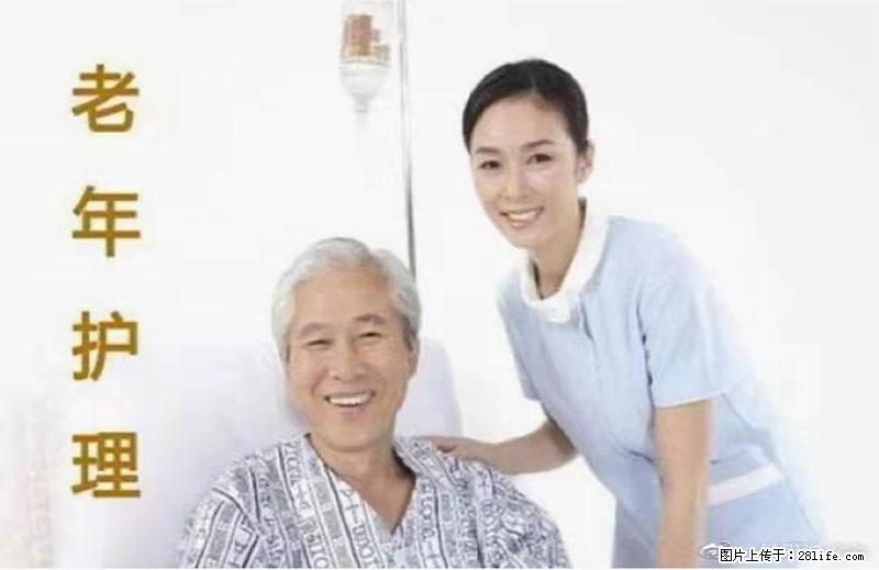 上海国企养老院，星级酒店环境，招聘养老护工 - 职场交流 - 克拉玛依生活社区 - 克拉玛依28生活网 klmy.28life.net