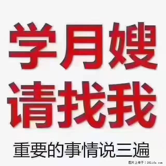 【招聘】月嫂，上海徐汇区 - 职场交流 - 克拉玛依生活社区 - 克拉玛依28生活网 klmy.28life.net