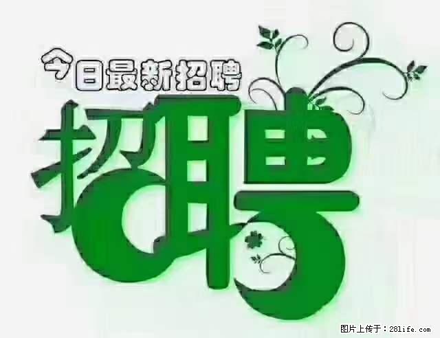 上海青浦区招仓管 - 职场交流 - 克拉玛依生活社区 - 克拉玛依28生活网 klmy.28life.net