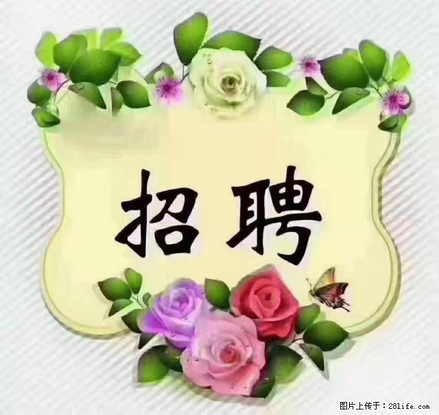 【招聘】住家育儿嫂，上户日期：4月4日，工作地址：上海 黄浦区 - 职场交流 - 克拉玛依生活社区 - 克拉玛依28生活网 klmy.28life.net
