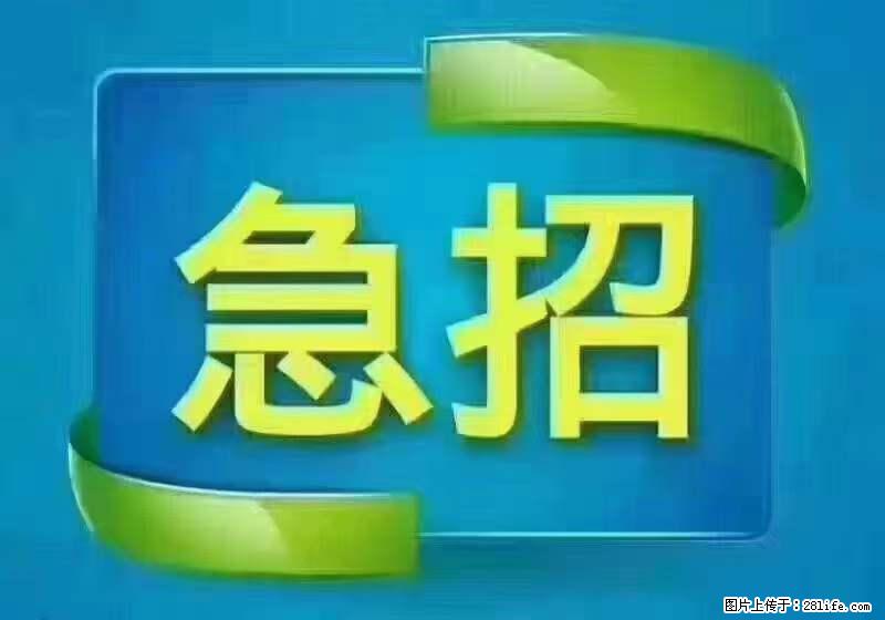 招出纳8000元/月，无证可以，要有相关经验，上海五险一金，包住，包工作餐，做六休一。 - 职场交流 - 克拉玛依生活社区 - 克拉玛依28生活网 klmy.28life.net