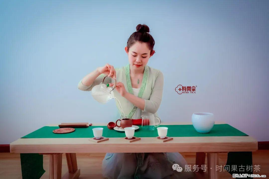 时间果百年古树龙珠普洱生茶 - 购物交流 - 克拉玛依生活社区 - 克拉玛依28生活网 klmy.28life.net