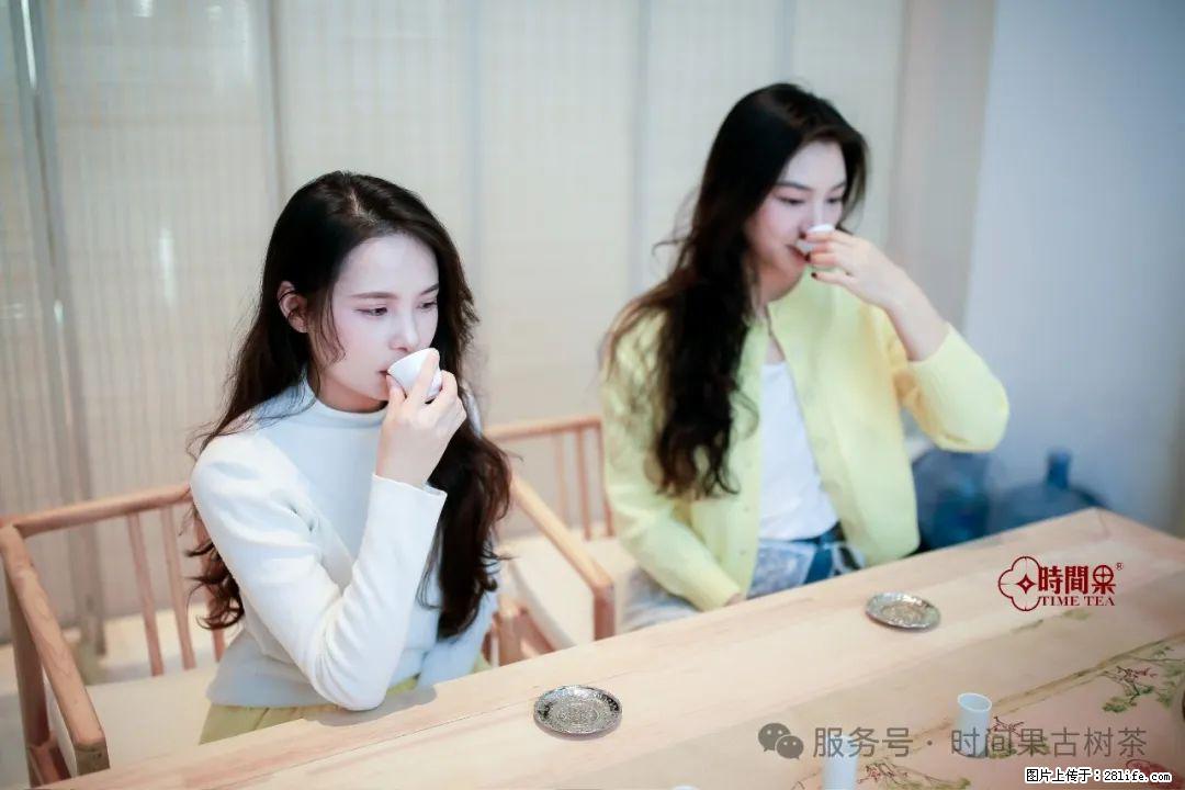 时间果百年古树龙珠普洱生茶 - 购物交流 - 克拉玛依生活社区 - 克拉玛依28生活网 klmy.28life.net