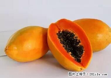 晕车、脚气、牙齿变黄、皮肤粗糙？学会这些三分钟搞定！ - 克拉玛依生活资讯 - 克拉玛依28生活网 klmy.28life.net