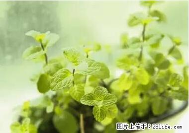 晕车、脚气、牙齿变黄、皮肤粗糙？学会这些三分钟搞定！ - 克拉玛依生活资讯 - 克拉玛依28生活网 klmy.28life.net