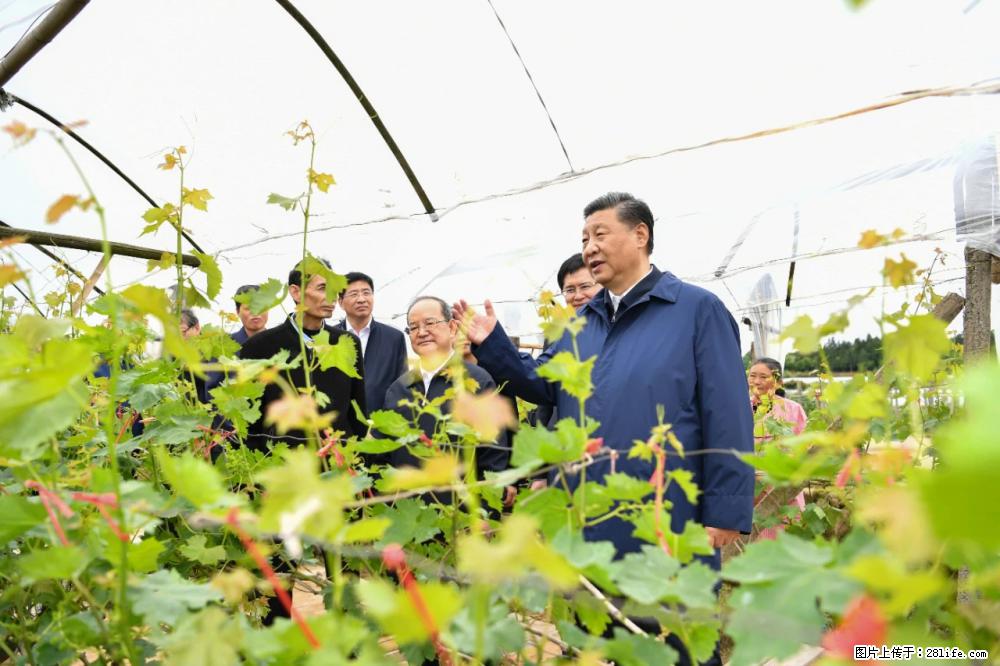习近平赴广西考察调研 - 克拉玛依生活资讯 - 克拉玛依28生活网 klmy.28life.net