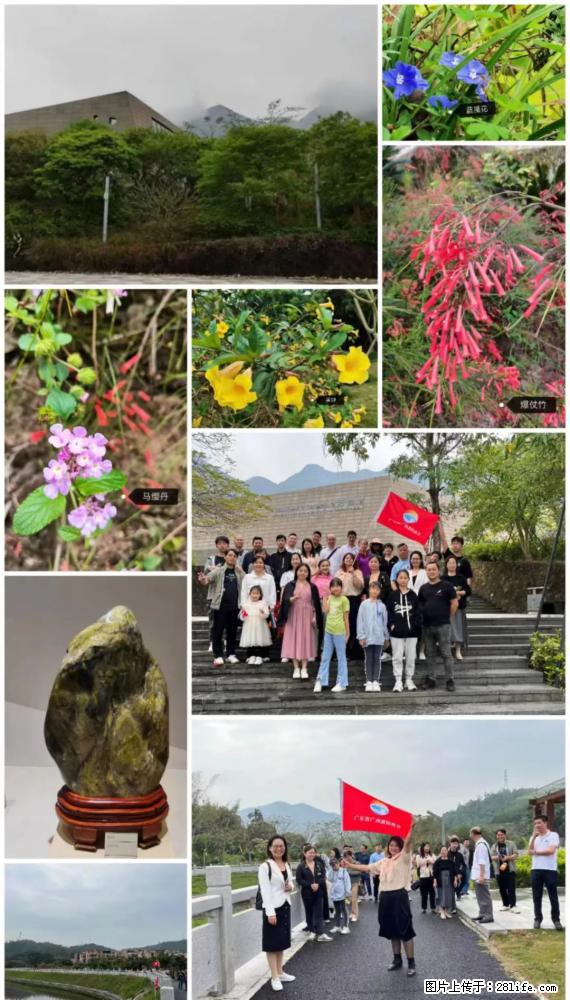 “粤灌文化 美好生活”油茶文化主题活动在广东深圳成功举办 - 克拉玛依生活资讯 - 克拉玛依28生活网 klmy.28life.net