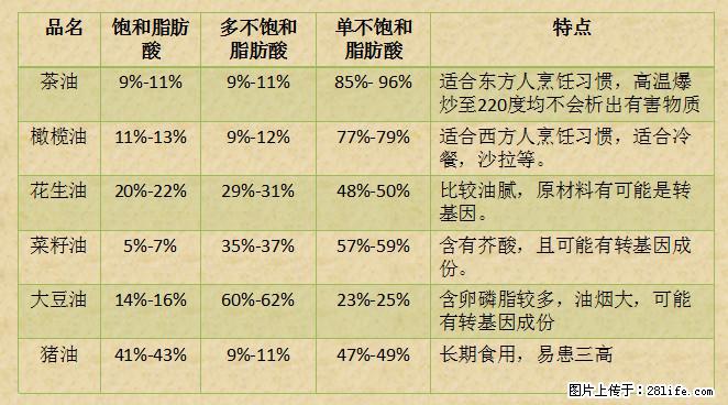 揭秘茶油的5大核心营养成分！被称为人体健康的“守护盾”！ - 克拉玛依生活资讯 - 克拉玛依28生活网 klmy.28life.net