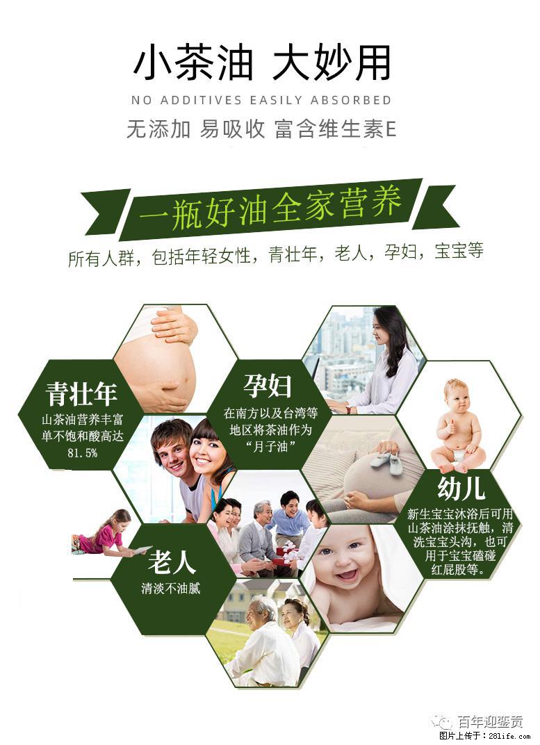 世界没有真相，只有认知，最好的食用油是中国的山茶油！ - 克拉玛依生活资讯 - 克拉玛依28生活网 klmy.28life.net