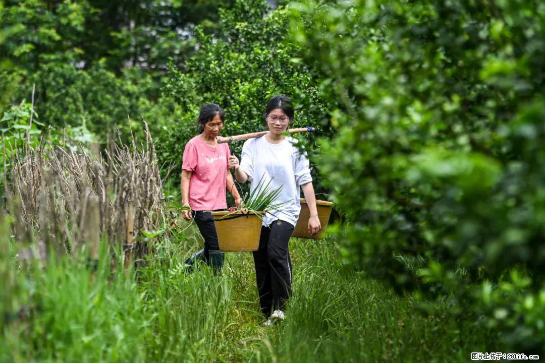 全网追的“扁担女孩”，找了一份暑假工，时薪12元 - 克拉玛依生活资讯 - 克拉玛依28生活网 klmy.28life.net