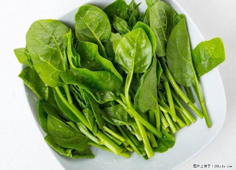 这些蔬菜是“天然钙片”，这6种被医生重点推荐 - 克拉玛依生活资讯 - 克拉玛依28生活网 klmy.28life.net