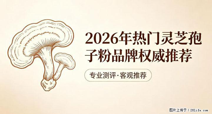 灵芝孢子粉含量越高越有效？2026 年七款热门品牌深度实测，肠胃敏感者避坑指南 - 克拉玛依生活资讯 - 克拉玛依28生活网 klmy.28life.net